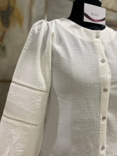 Button Down Shirt